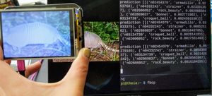 Portable Computer Vision: Tensorflow 2 on a Raspberry Pi
